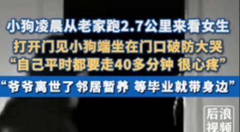 “万物皆有灵。”6月四川，一女孩凌晨被狗叫声惊醒，原来是爷爷离世前养了5年的狗狗