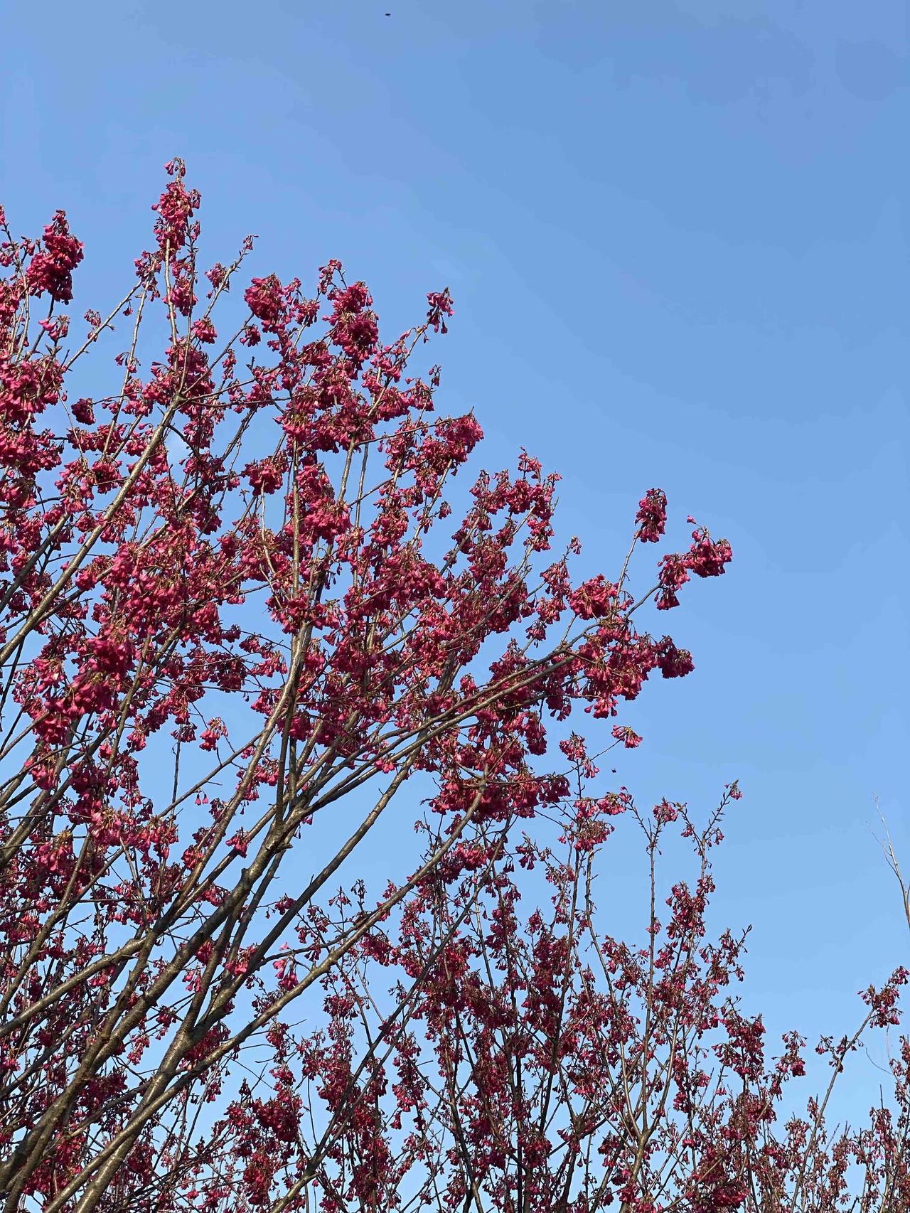 周末在小区里碰到一朋友，几年都未见过。仔细询问，原来她在22年时卖掉了自住房，回