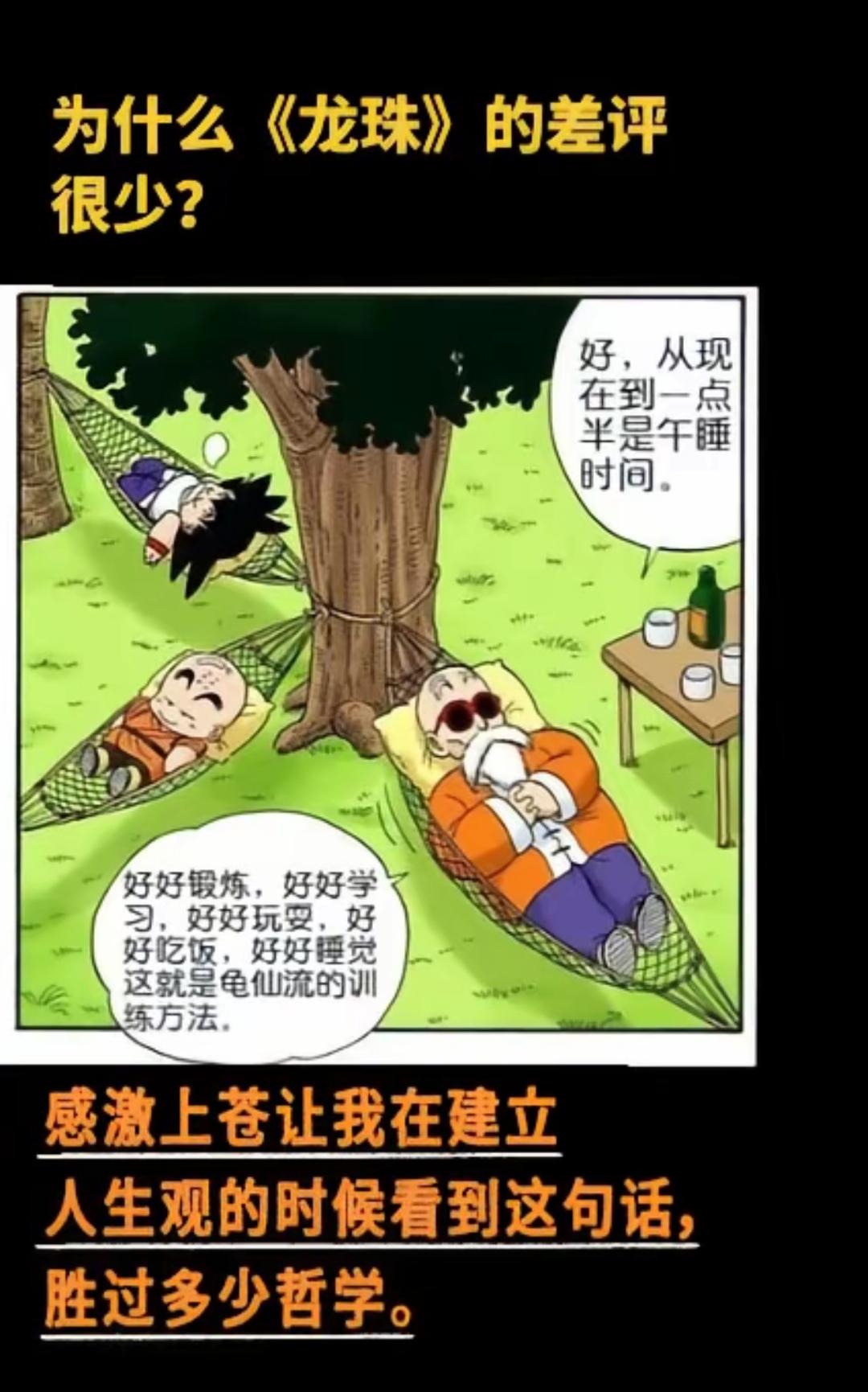为什么《龙珠》很少差评？