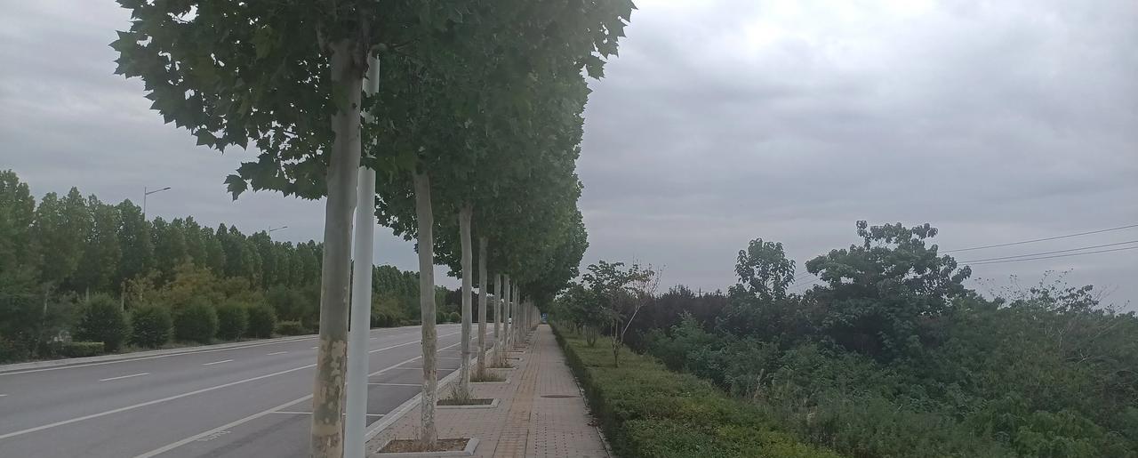 人为什么要结婚？今天总结了婚姻的四个要素：1、性，在身体有需要的时候，相对容
