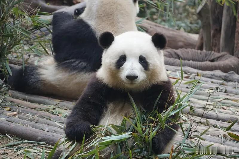 一个人最硬的底牌不是财富，不是人脉，而是“心态好”！​​财富再多，守不住