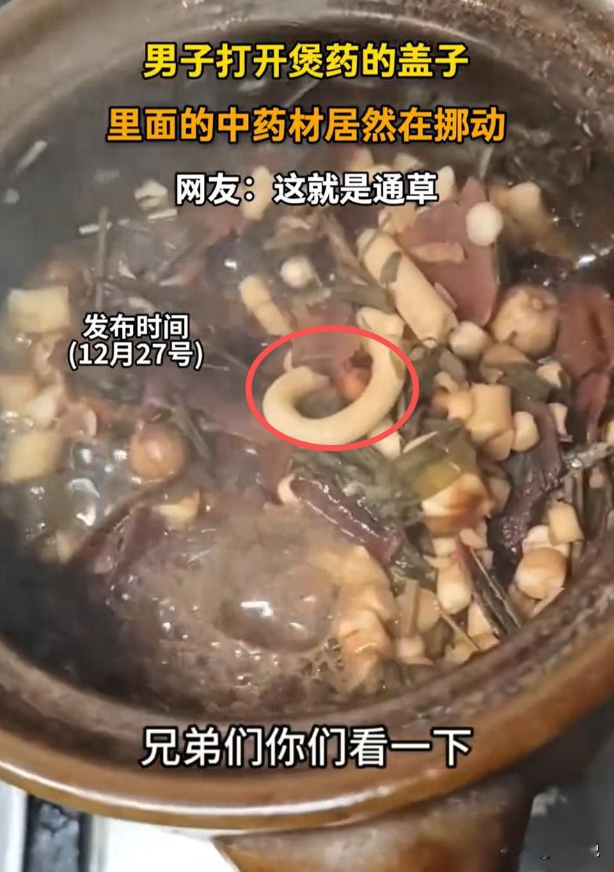 解释不清了！一男子从老中医手里拿了副中药，可回家熬着熬着就发现不对劲，其中里面的