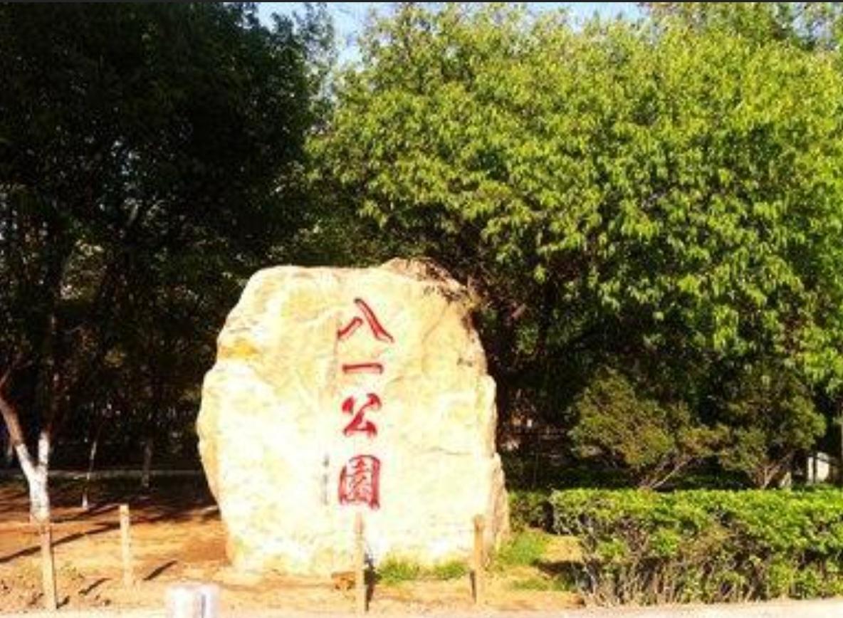 游沈阳八一公园。暑假去孩子那。帮助看一下放暑假的孩子。周末有时间和他们一起去了