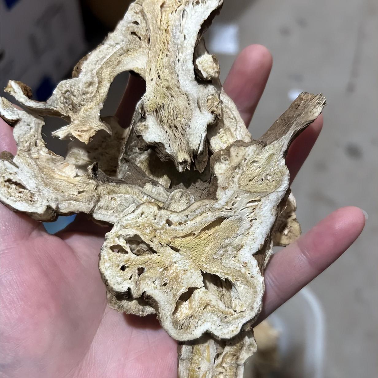 阴精越足，精关越稳，两味药的小方子，滋阴益肾、固关起痿！老话说“阴精亏一