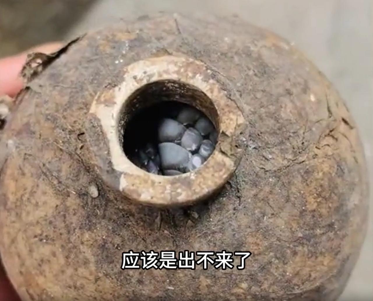 “这胆子也太大了！”湖南永州，一男子在野外捡到一个废弃酒瓶，开始还以为是古董，后