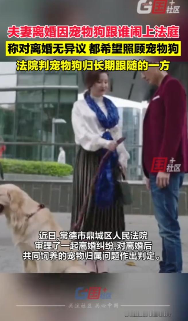 “这就是有钱任性吗？”湖南常德，夫妻由于感情破裂，最终起诉离婚，二人对此都没有异