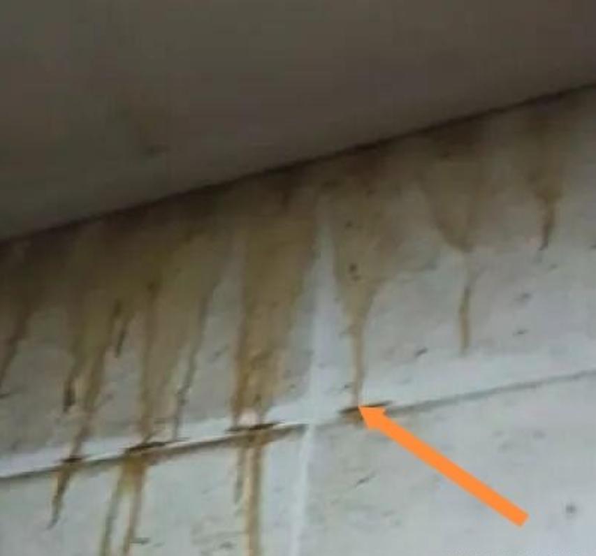 浙江湖州一名男子为陪孩子读书，在杭州某小区租下一套住房，房租32000元一年