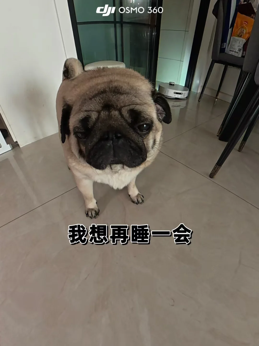 关于我爸不睡懒觉，把我从被窝薅起来这件事