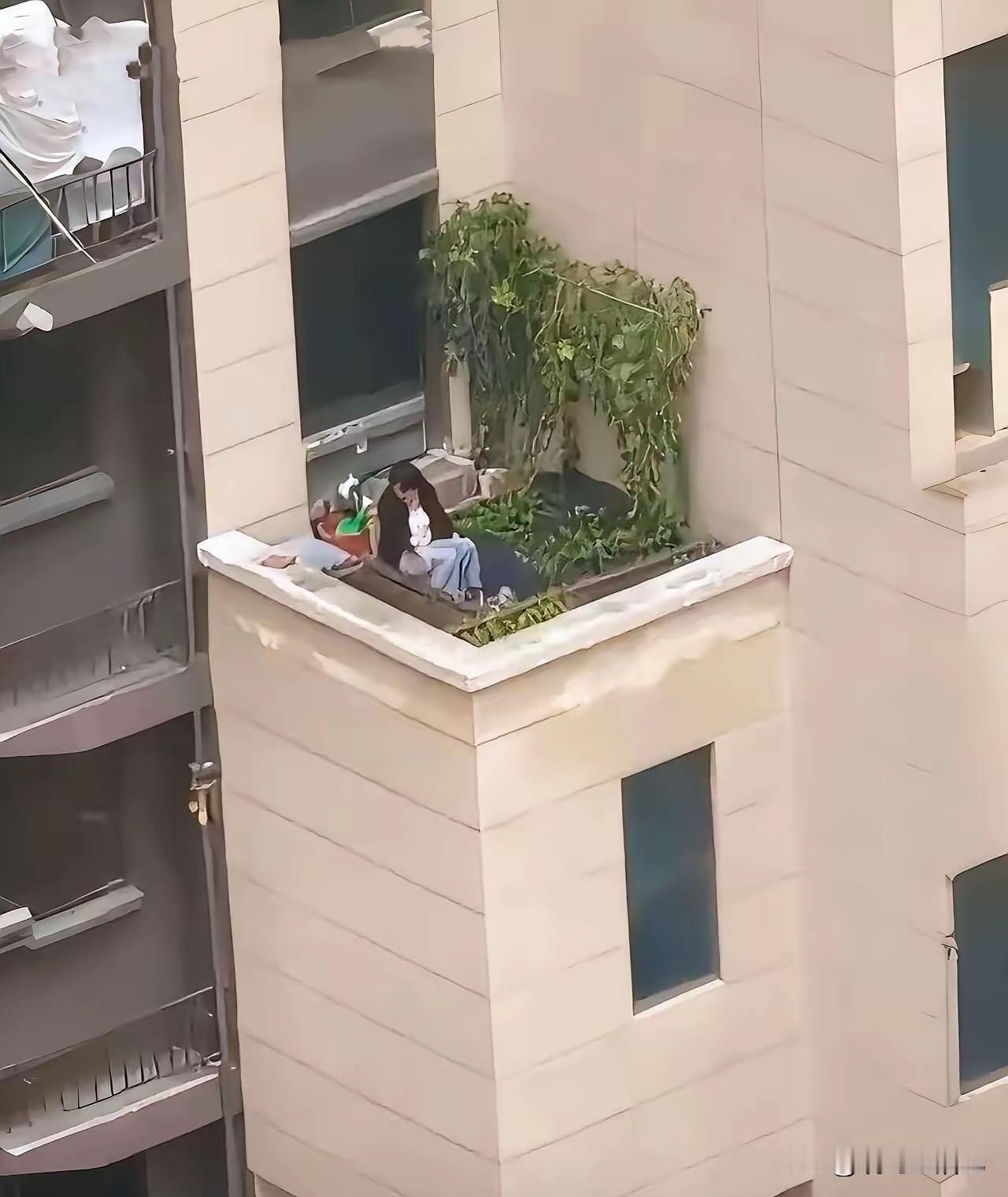 看来大姐有个菜园梦，墙边加上围栏就完美了。