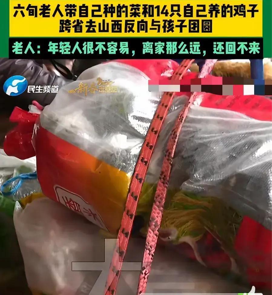 2月7日，河南郑州火车站，一位六十多岁的韩先生扛着自家种的菜、提着14只活鸡，正