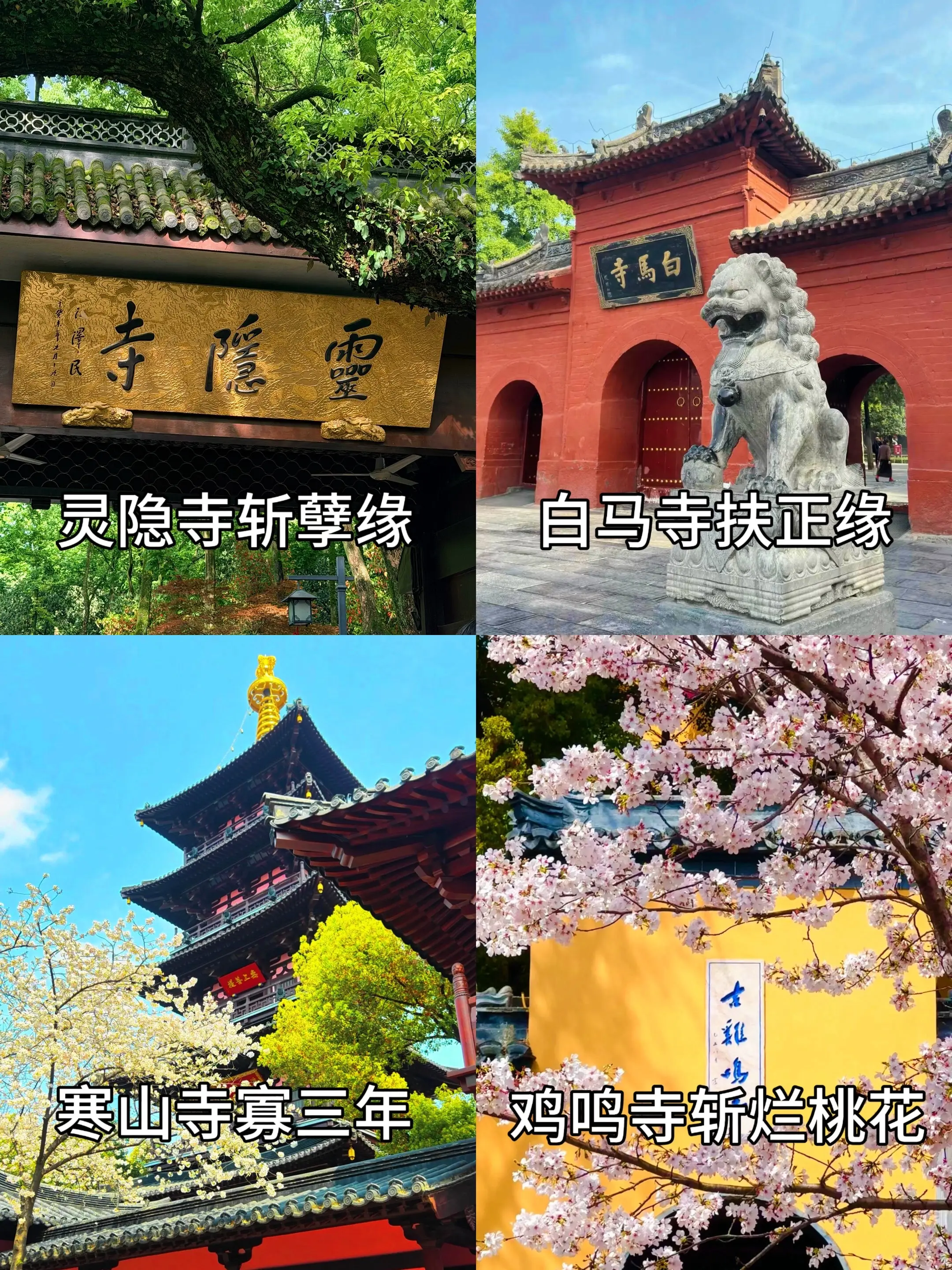 中国四大古刹。去过这四个寺会轻松十二年 一去寡三年 三年又三年 区区十二年