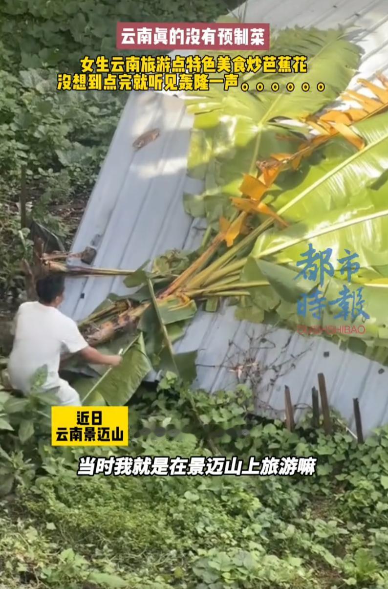 云南，一女子和朋友到景迈山游玩，途中肚子饥饿，随机走进了当地一家普通小餐馆，随手