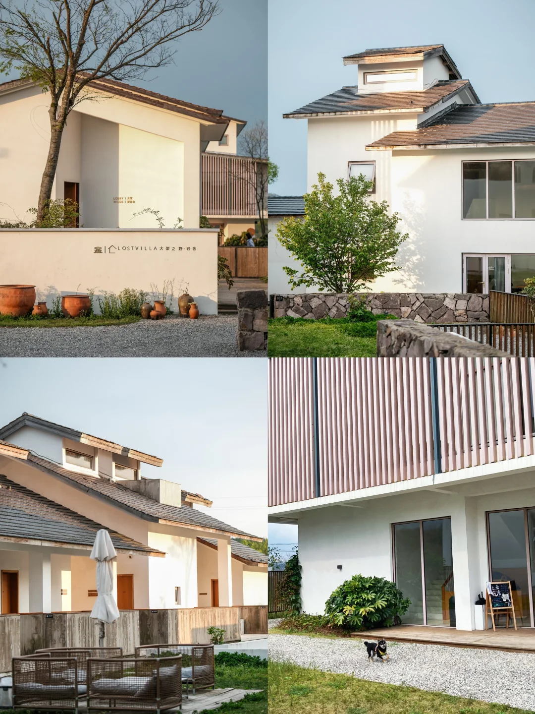 在四明山挖到神仙民宿🏡秋天住这也太绝了🍂