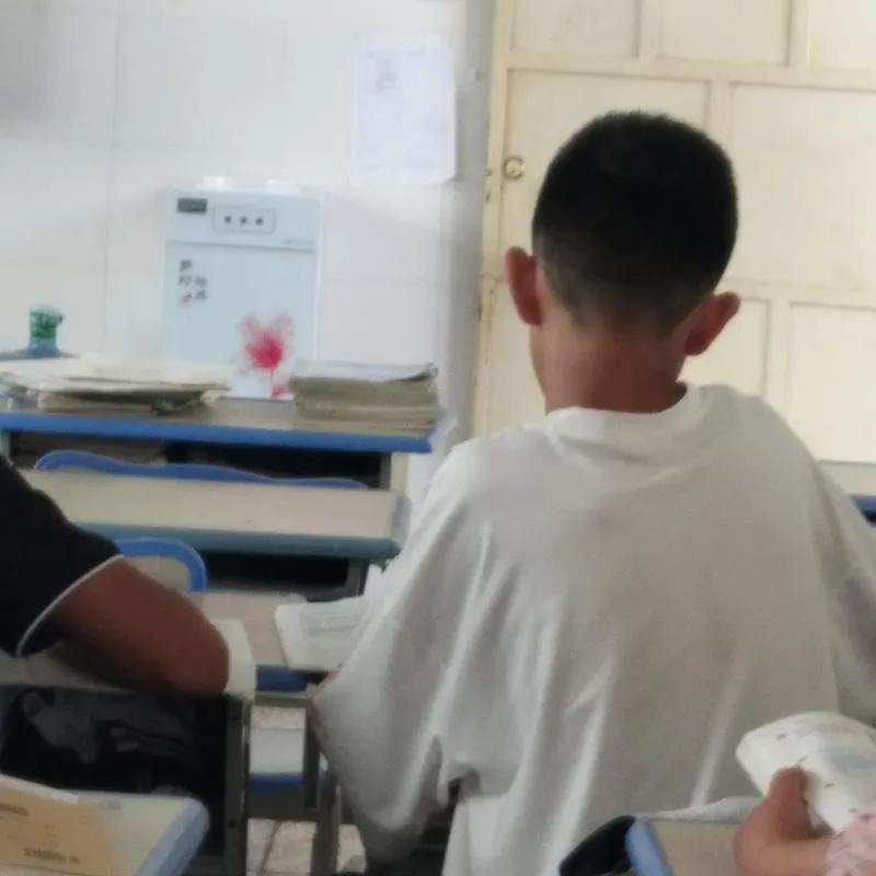 学校里的老杨老师和他的儿子杨帆可以算得上是真正厉害的人了。杨老师是上个世纪的中师