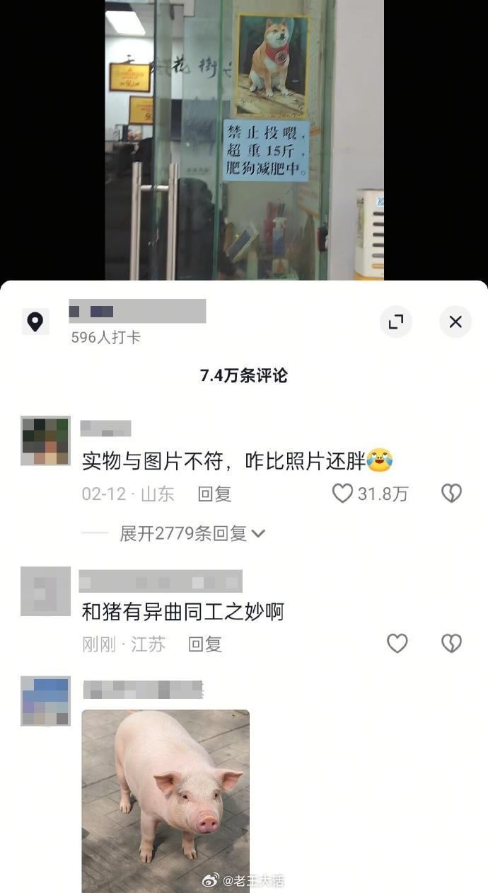 猪汪：怎么一觉醒来我成全网的笑话了