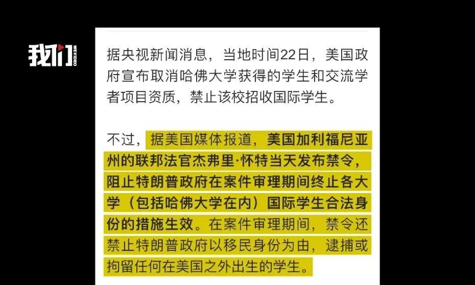 哈佛梦遇挑战：中国留学生在政策风波中保持淡定态度
