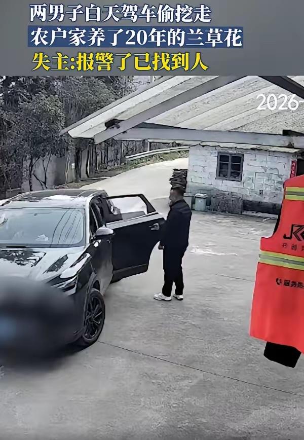 安徽六安，一对农妇多年前在山上挖了一株兰草，已经养了将近20年了，结果两人干完活