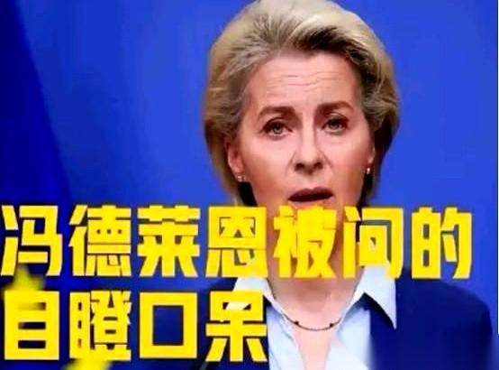 就一句话，当着所有人的面，直接把欧盟的底裤给扒了。冯德莱恩，那位欧洲“铁娘子”
