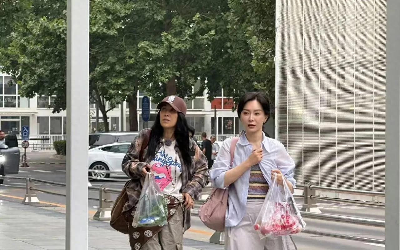 陈数和那英在大街上被偶遇，两人反差感拉满，那英像大妈一样。