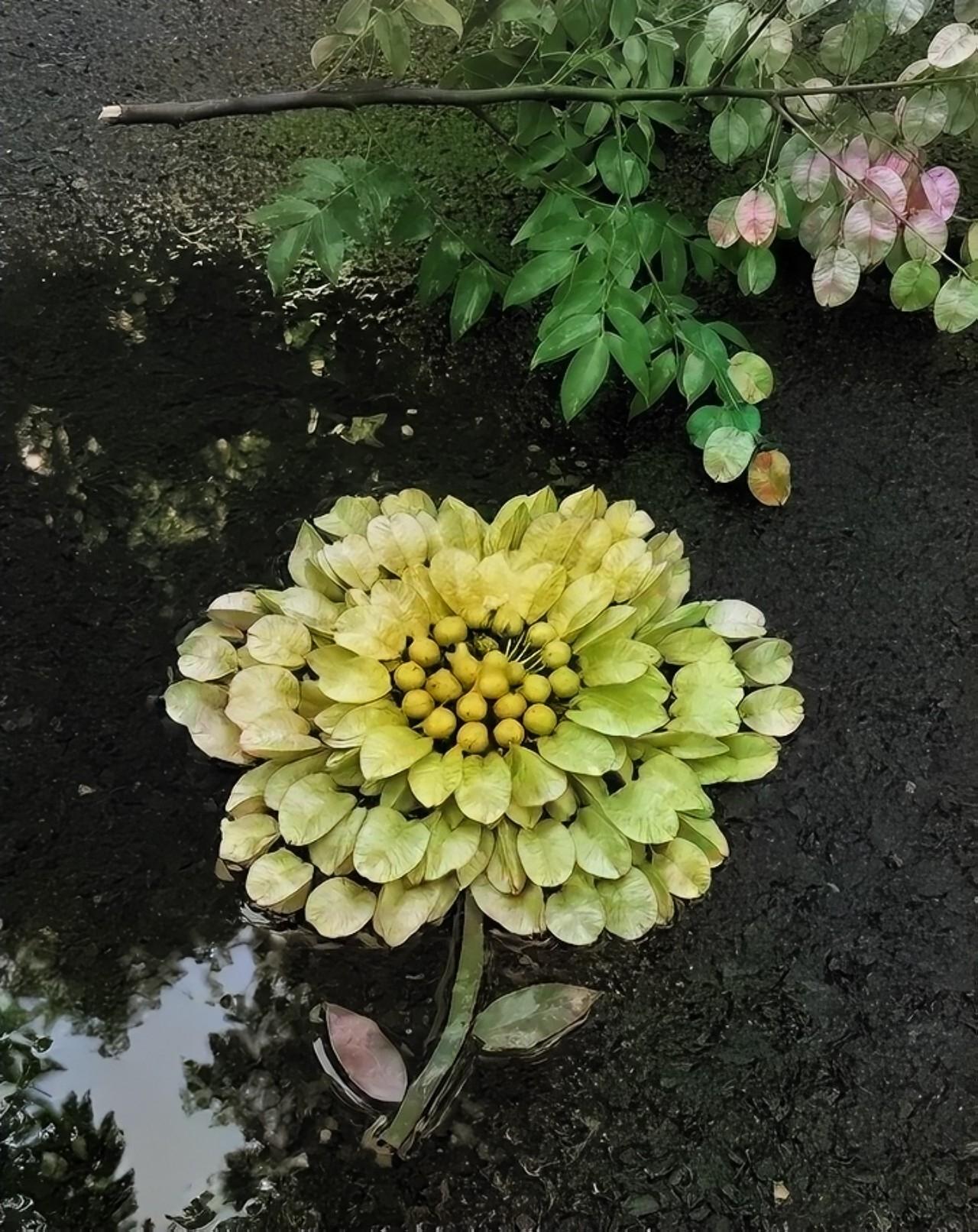 还是豆包好～照片变宝宝不好看～[捂脸哭]