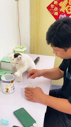 真的被这只心思细腻的猫咪萌化了，简直聪明得不像话，半点都骗不住！主人刚把温