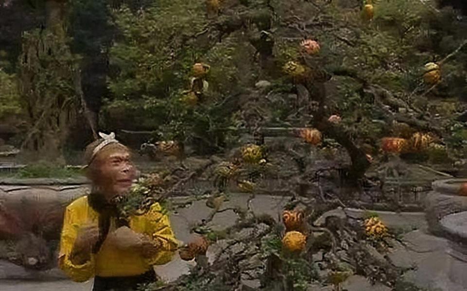 难怪孙悟空要推倒人参果树，你看他用火眼金睛看到了啥秘密这双眼睛，能看穿白骨精