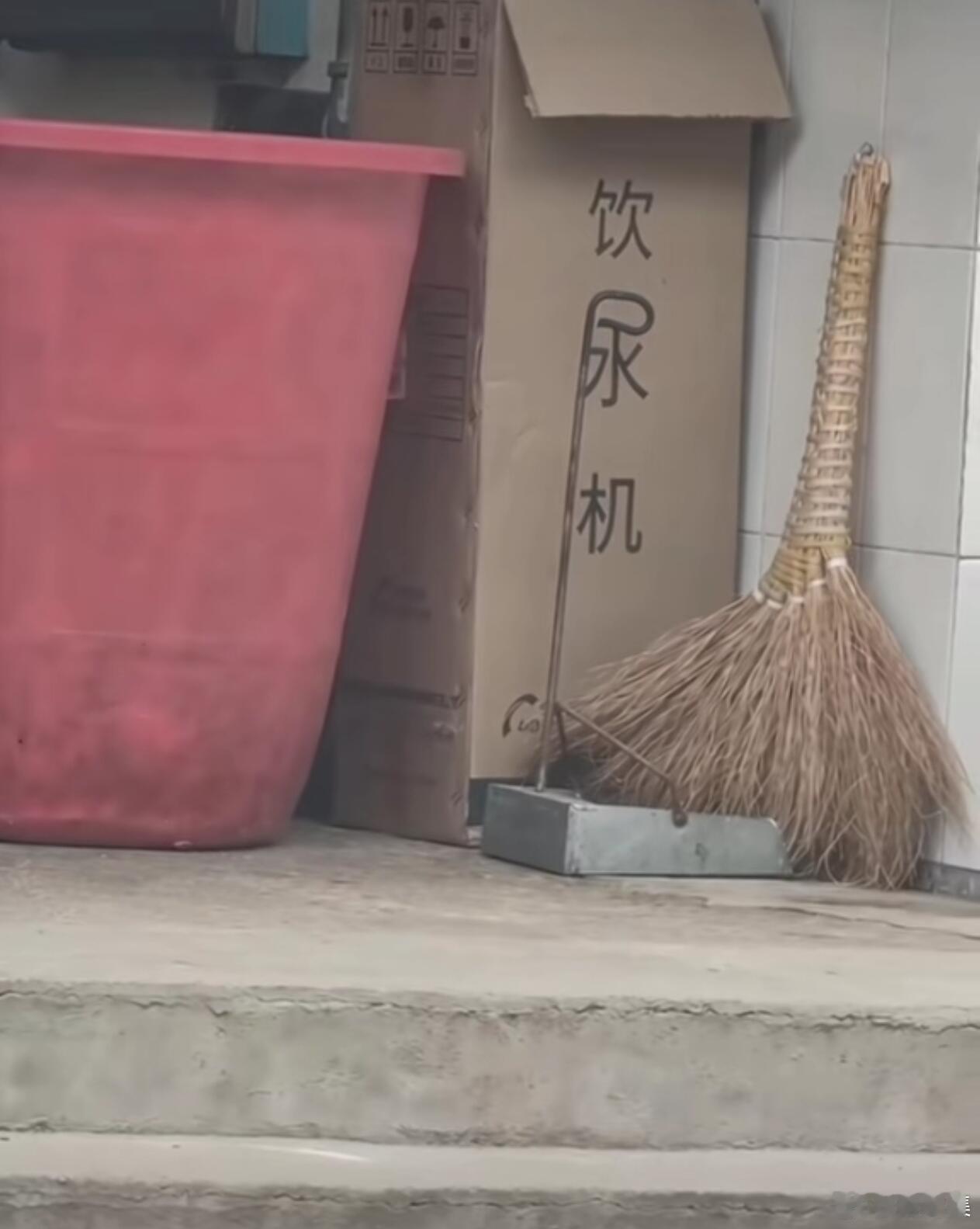 谁放的撮箕？给我站出来😡搞笑​​​
