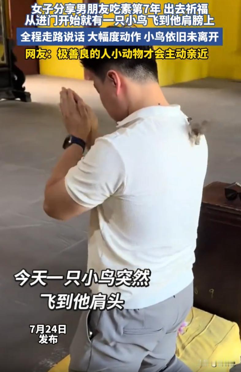 四川成都一对情侣前往寺庙还愿，坚持吃素七年的男子，在还愿过程中突然被一只小鸟主动