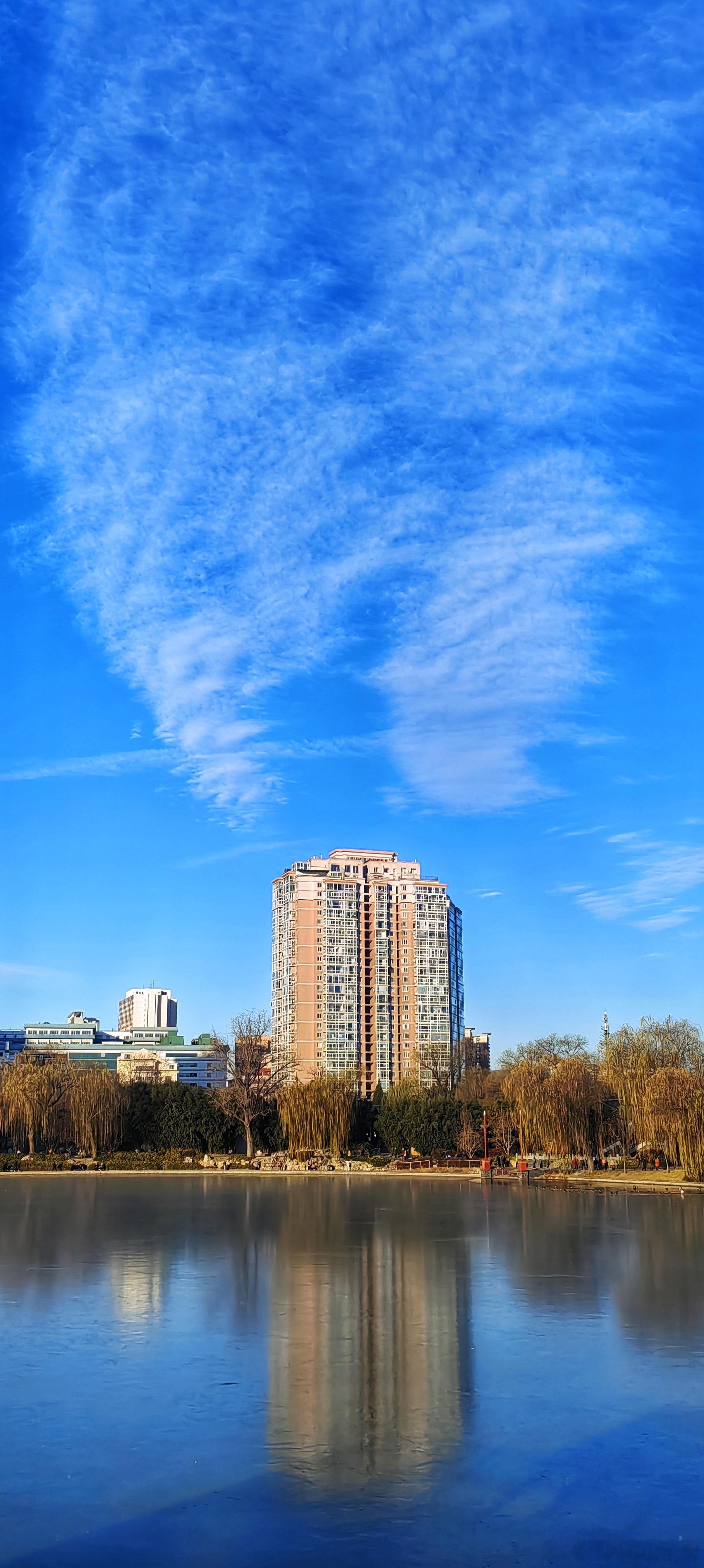 冬日紫竹院公园2025.12.8北京你好摄影