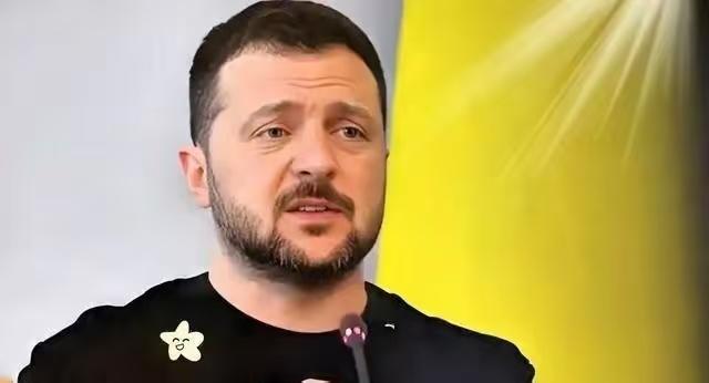 泽连斯基这下慌了！本以为，欧洲26国联军集结，可以帮助自己夺回失去的土地，可没想