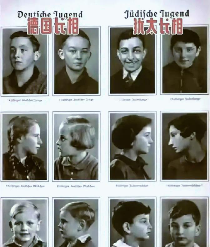 《二战时期德国人和犹太人的对比海报》德国法西斯为了切实镇压夺取他们财富的犹太人