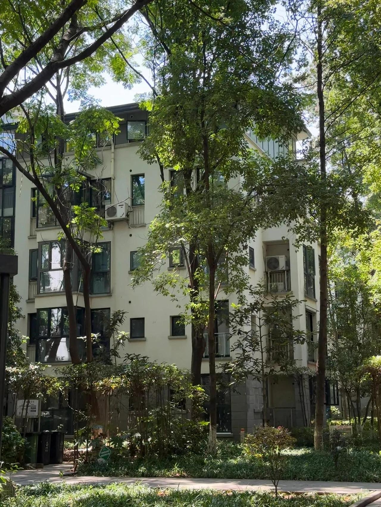 在长沙，我们买了一套20年房龄的老房子，外面的树比房子还高，但很多人不理解，为什