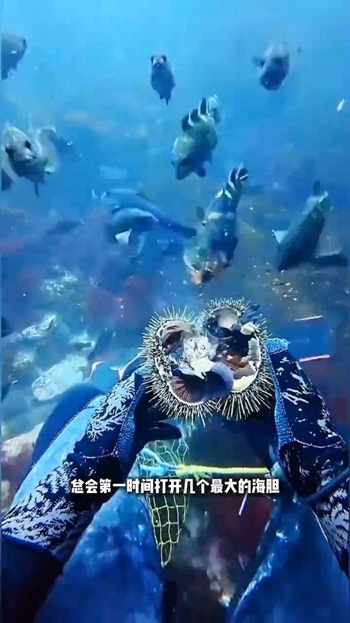 为什么潜水员下海打捞海胆时，总会第一时间打开几个最大的海胆给周围的鱼儿先吃？其实