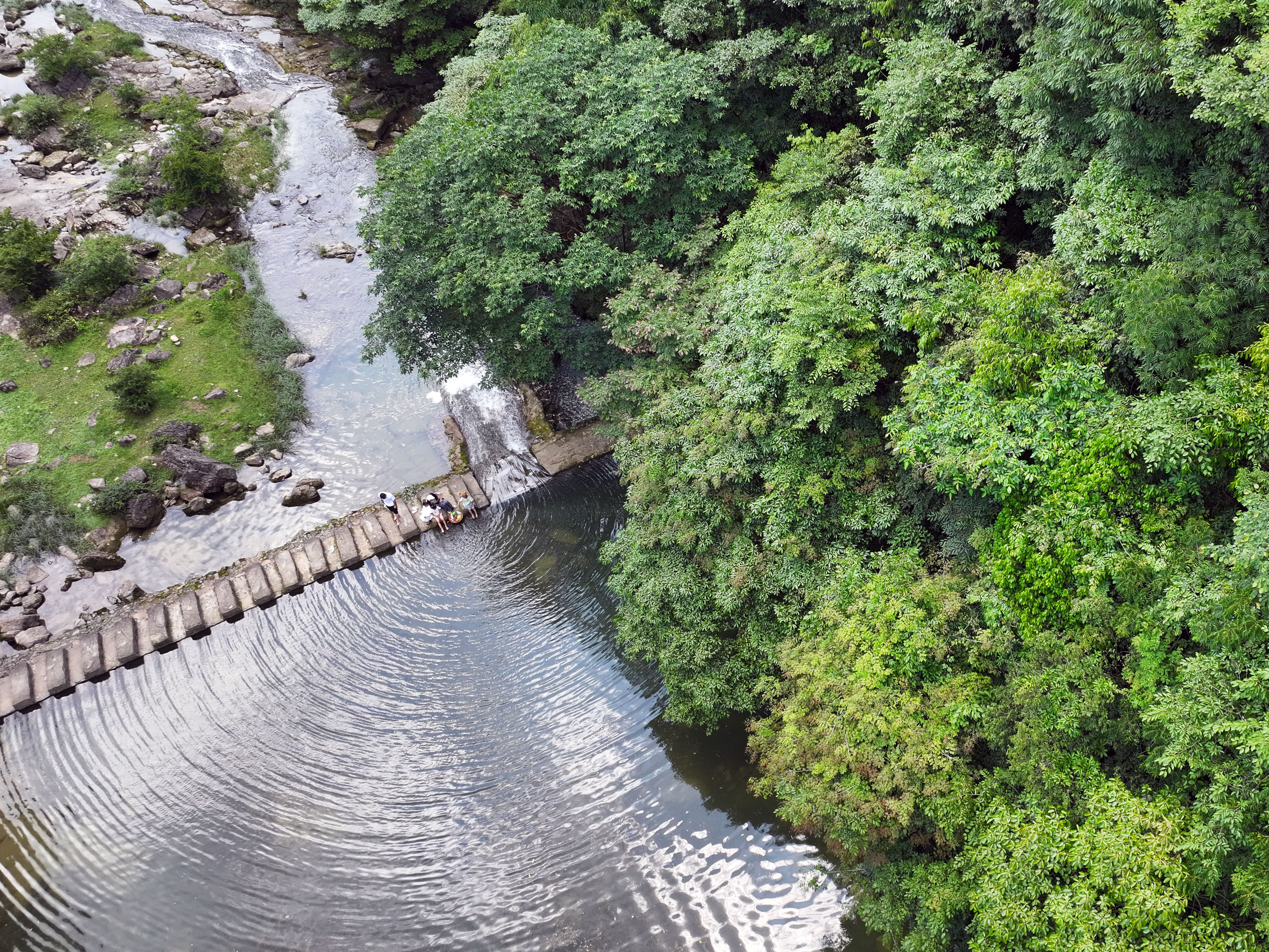 百里杜鹃的浪漫从不止于花期！125.8平方公里原生态杜鹃林带，春日铺就粉色花海
