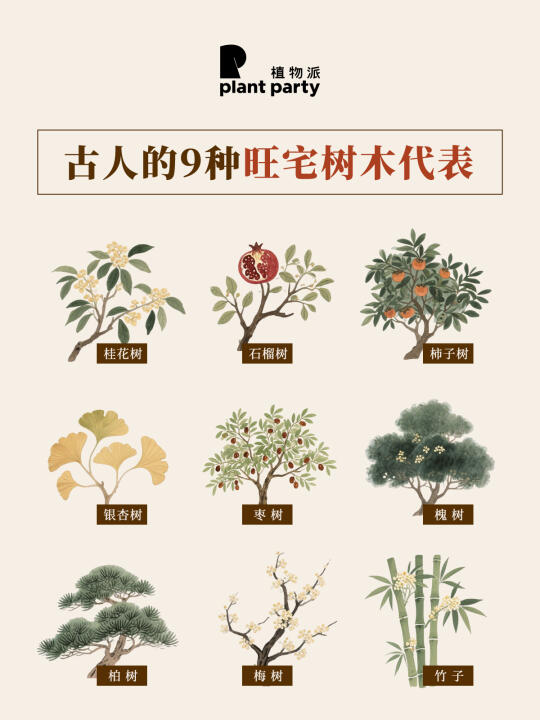 古人的9种旺宅植物种在院子里的好运树🌳