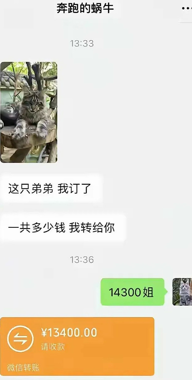 姐，我打包好了，可以给尾款了。