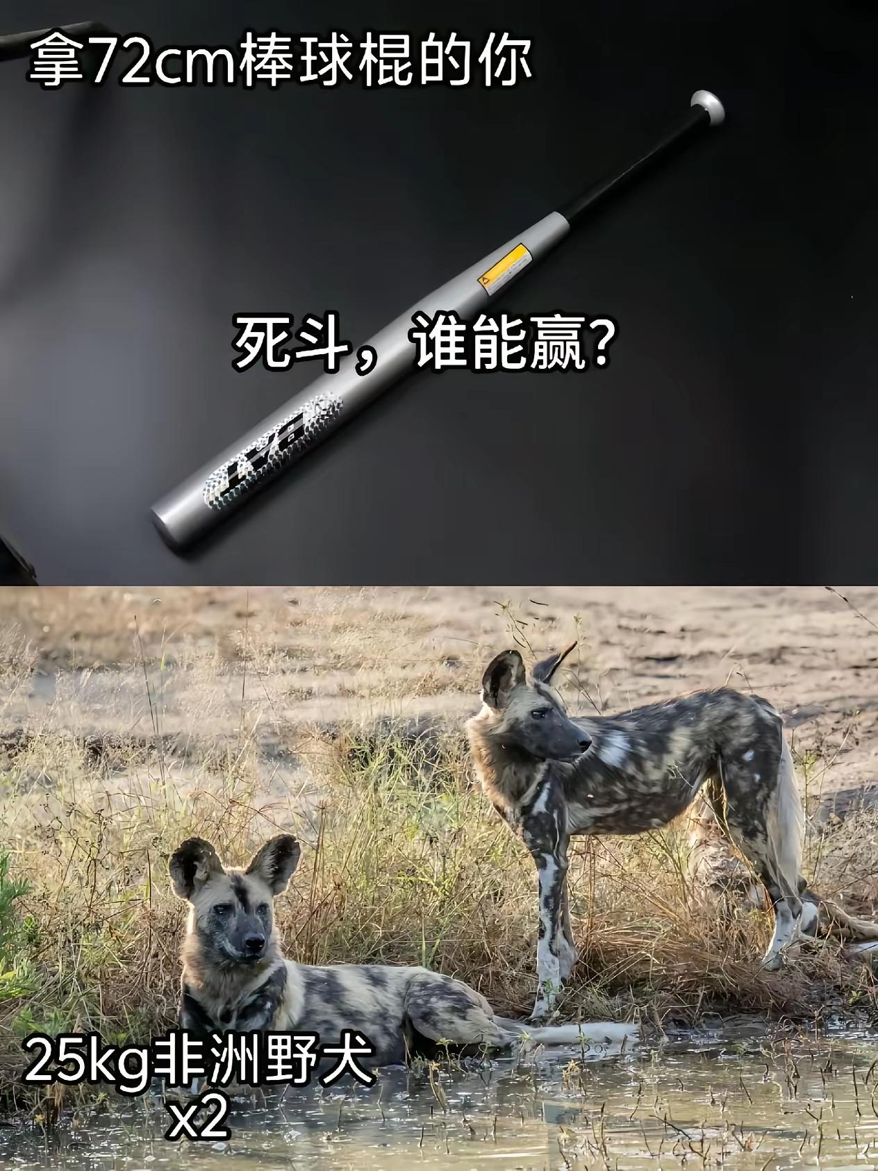 应该没啥胜算吧，这玩意挺狠的