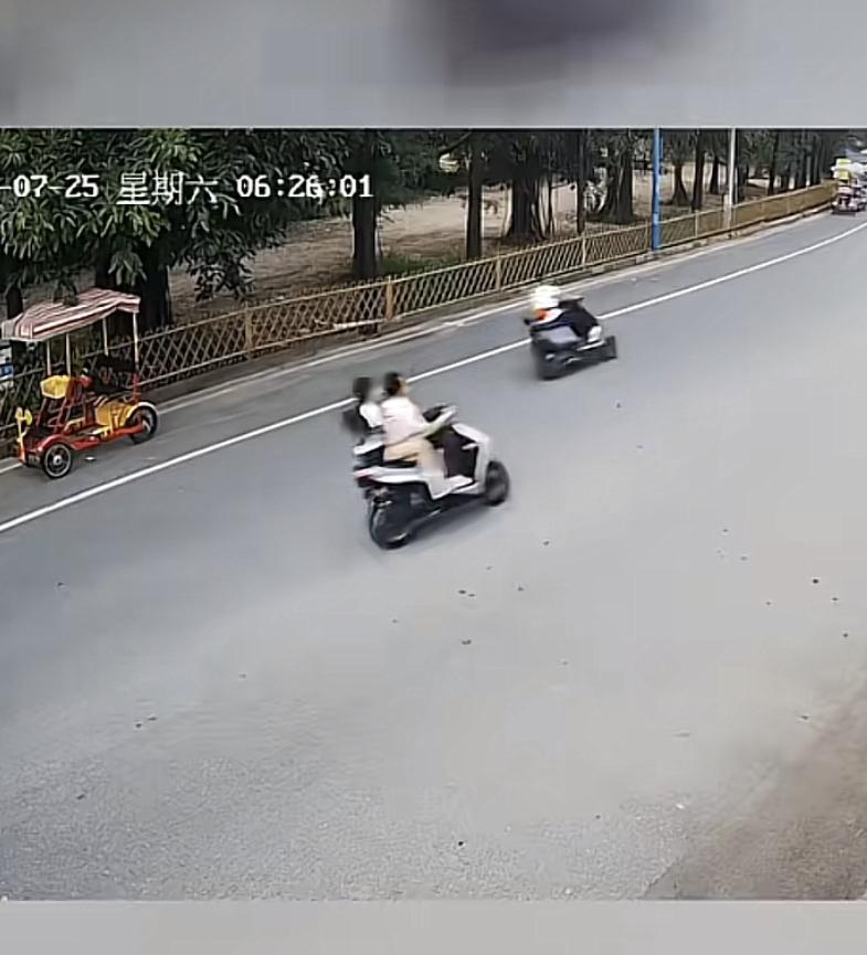 广州番禺，7月25日，石楼镇海鸥岛一拐弯处，一辆电摩逆行与一辆对向车道大排量机