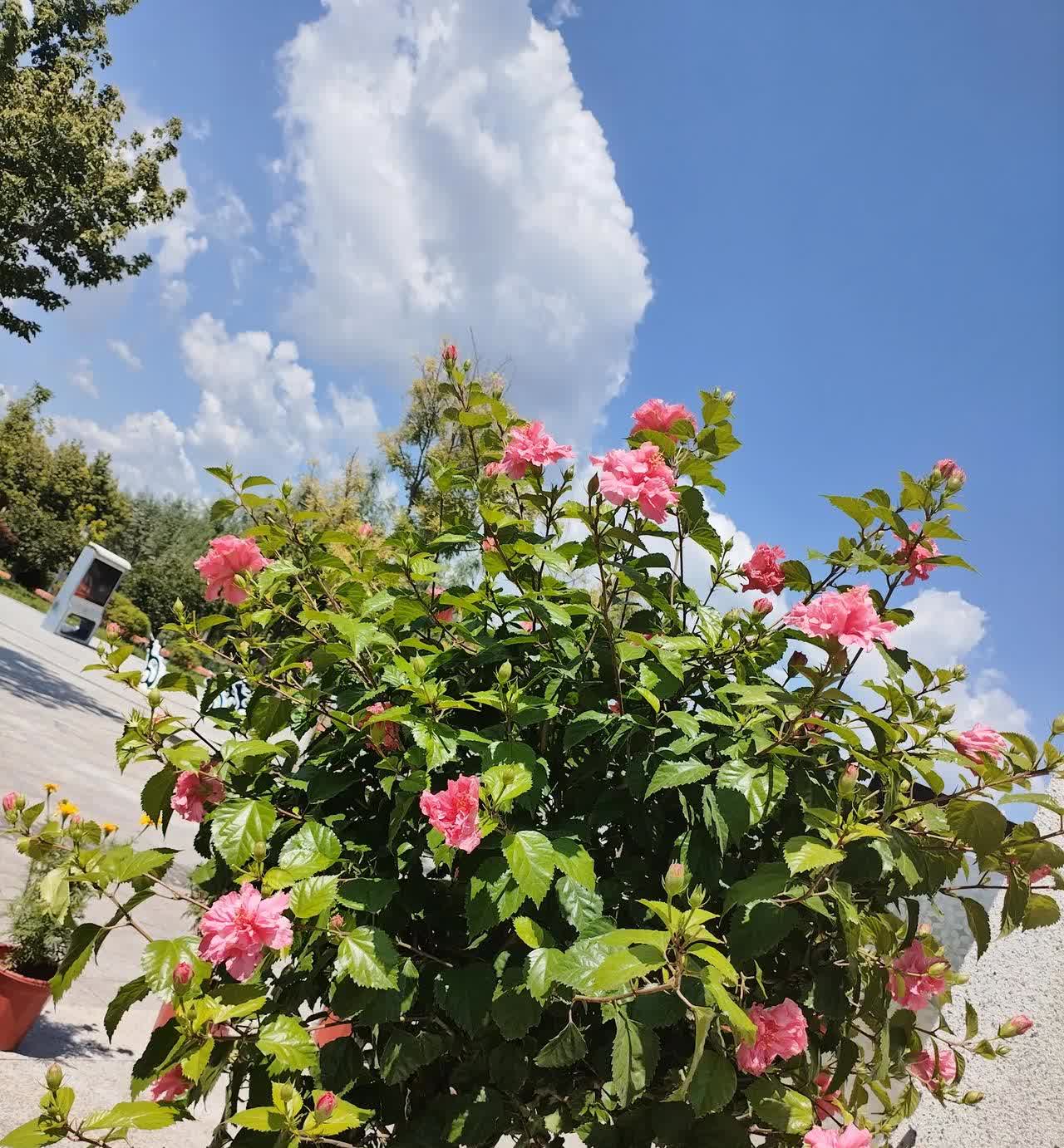 这样的婚姻让人费解一个远房亲戚，家里很富裕，一个儿子成家立业，让人理解不