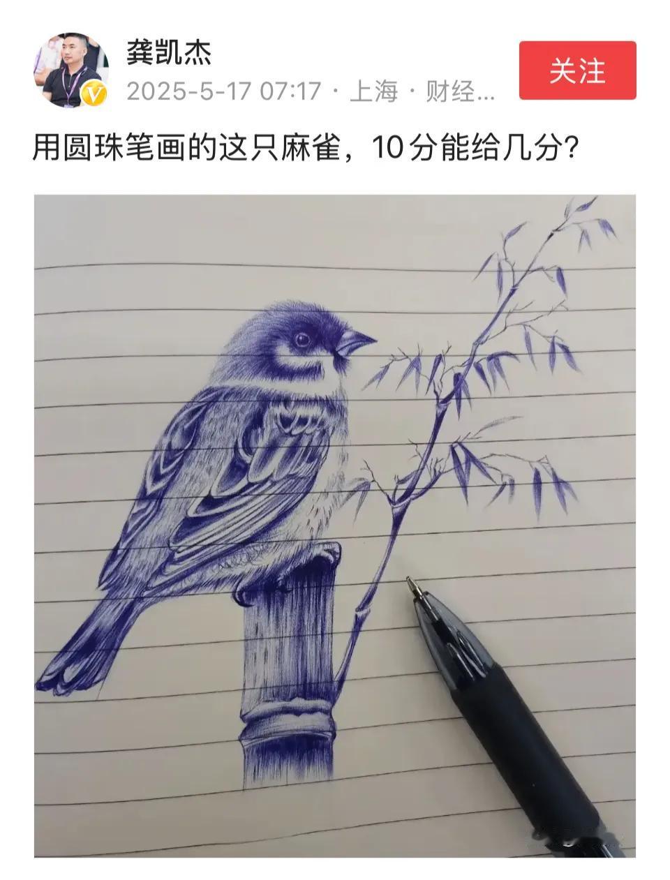 一位网友用圆珠笔画了一只麻雀图发到网上，试问10分满分能打多少分？这激起大家热