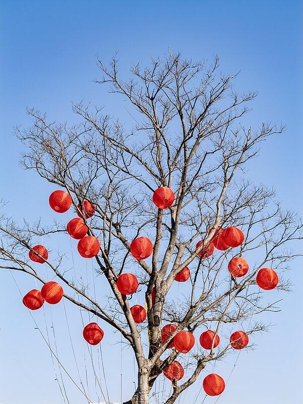 你能刷到这条，本身就是一种福气放心吧，你的命很好，否则你根本看不到这段话。