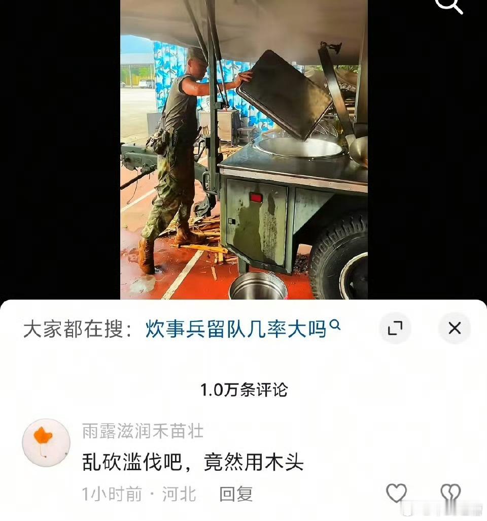 发这种评论的玩意儿，就应该直接扔进锅里​​​