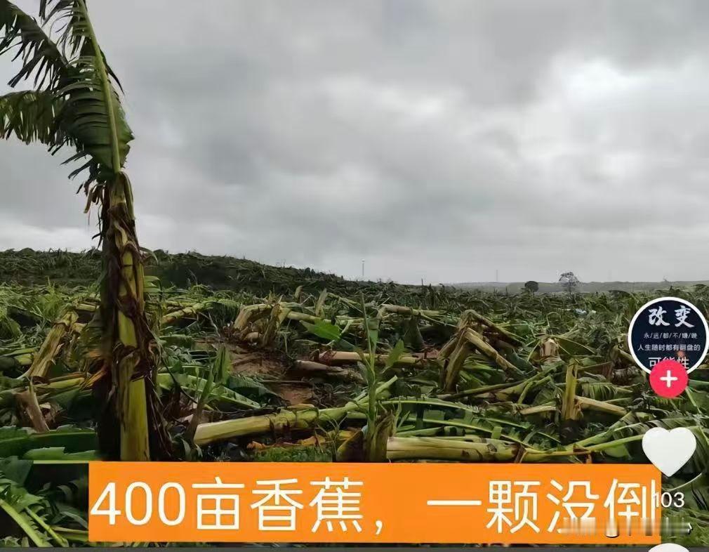 中秋佳节，可是，对粤西、广西沿海地区来说，台风“麦德姆”却给普通民众带来了不少的