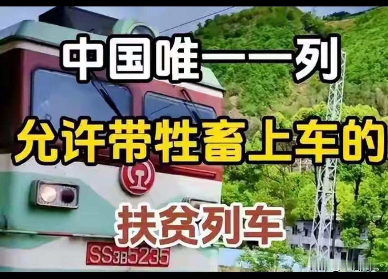 我刚看到一篇文章，内容如下：2023年，一位印度网友将四川大凉山那专门为沿线群众