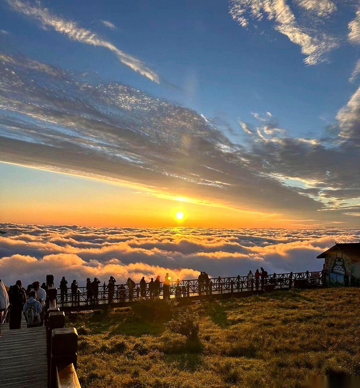 我跟你说个事儿，你可能不信。再熬个十年八年，这世界上最顶尖的医生，可能就住在你
