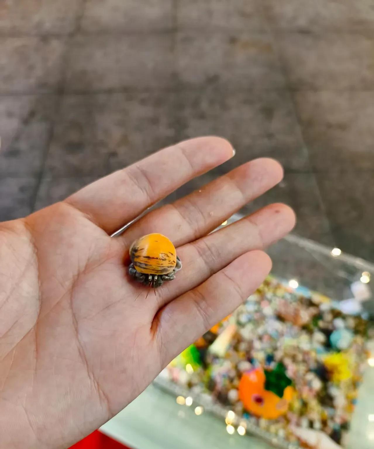原来只要有钱，当阿姨也是很快乐的。昨天晚上我带孩子去摆摊，但摆摊的过程不是很顺