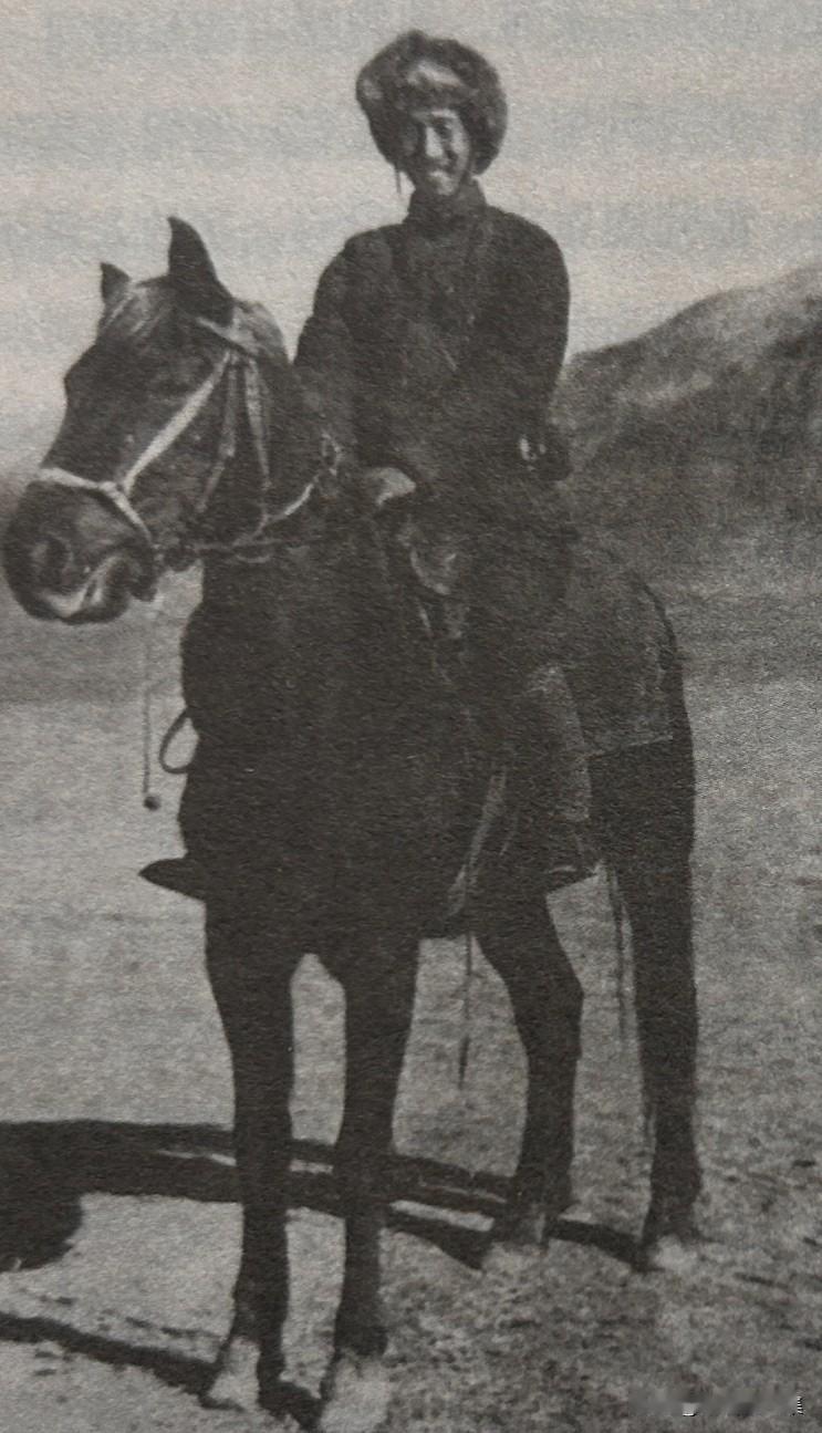 1941年1月，徐向前从山东抗日前线返回延安，途中骑着在七亘村战斗中缴获的日军战