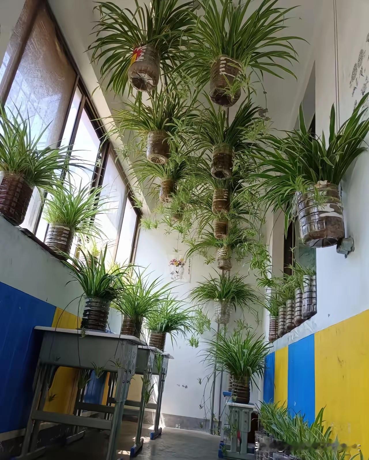 我开始怀疑养生了！我爷爷今年94岁，奶奶92岁。如今两人生活自理，没去任何一个