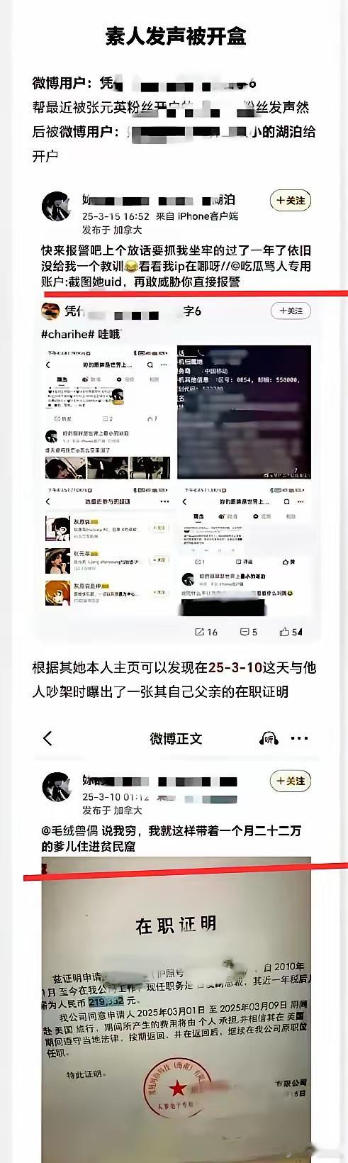 一个IP在加拿大的13岁小女孩，她把普通人的身份证号码和电话号码都公布出来，并参