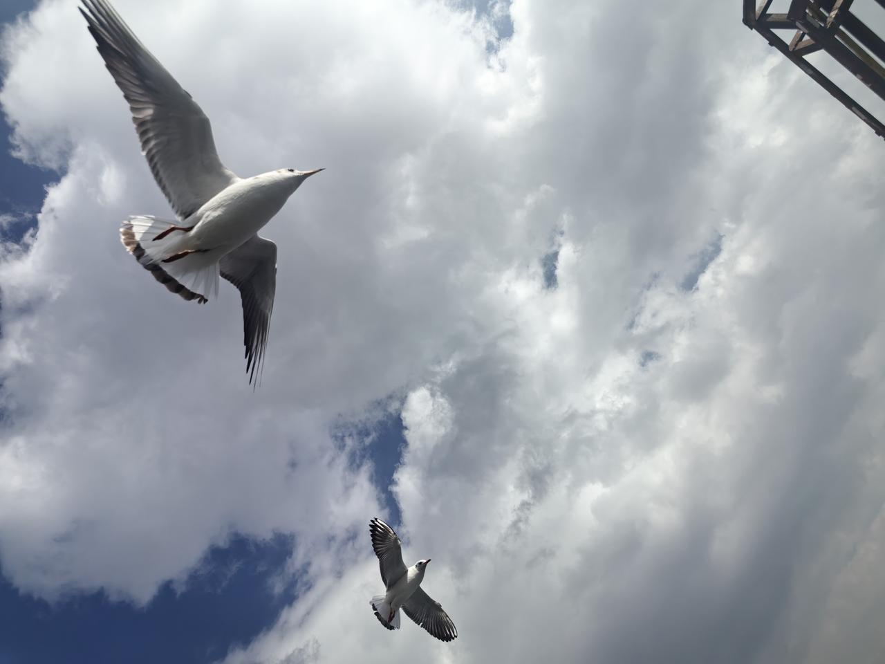 来了一场说走就走的旅行。终于把心心念念的七彩云南美景收入了我的眼里。第一站春城